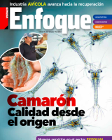 Revista Enfoque Octubre 2023