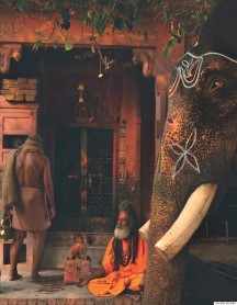 Elefantes en la India: criaturas espirituales y esclavizadas