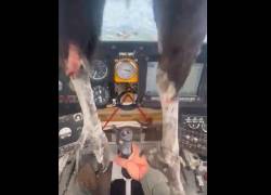 VIDEO: ave se impacta contra avioneta durante vuelo en Vinces; el piloto grabó el inesperado suceso