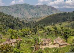 Buscan protección para la selva del Congo