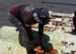Puerto Bolívar: decomisan más de 100 kilos de cocaína camufladas en cajas de banano con destino a Bélgica
