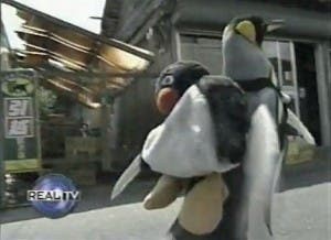 Lala, el pingüino que va de compras por su pescado