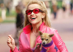 ¡'Legalmente rubia' regresa! Prime Video anunció una precuela protagonizada por Reese Witherspoon