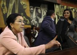La expresidenta de la Asamblea Nacional, Guadalupe Llori, durante una sesión del Pleno.