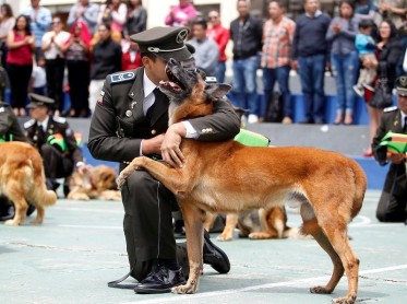 Ceremonia de perros policía jubilados