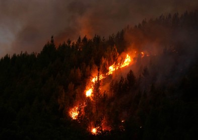 Continúa el trabajo para apagar los incendio forestal en Portugal