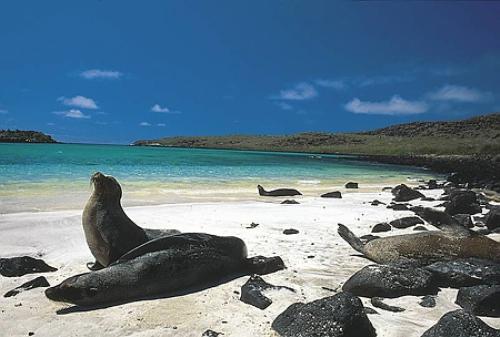 Encuentran a dos turistas perdidos en las Islas Galápagos