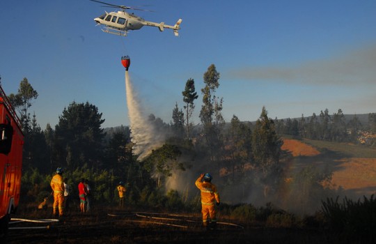 Incendios forestales suman 119 en Chile, con 39 mil hectáreas quemadas