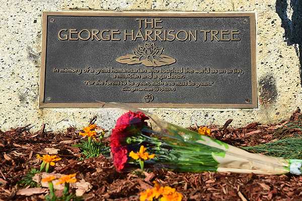 Los Ángeles planta un nuevo árbol en honor de George Harrison