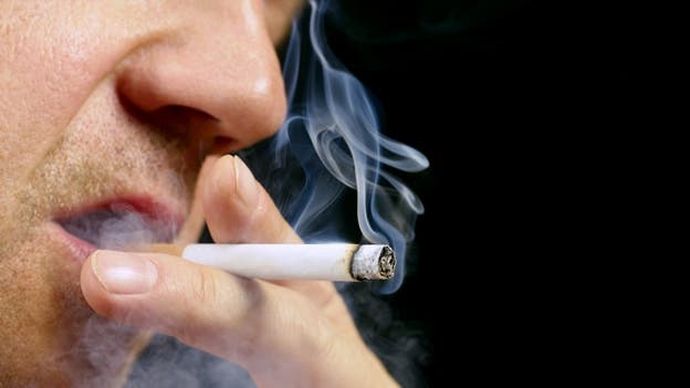 Bolonia acoge millonario proyecto del &quot;tabaco sin humo&quot;