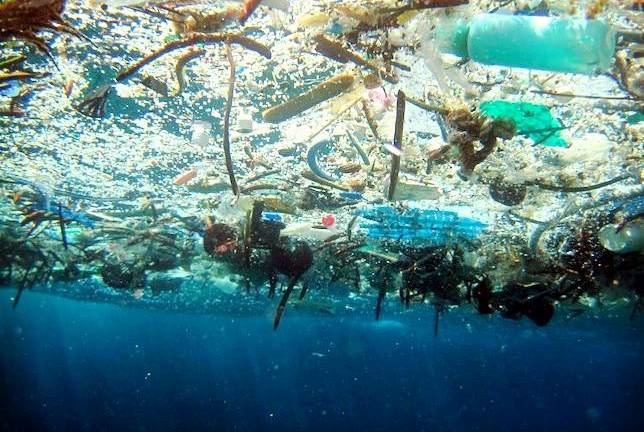 El plástico es el principal &quot;depredador&quot; de los océanos