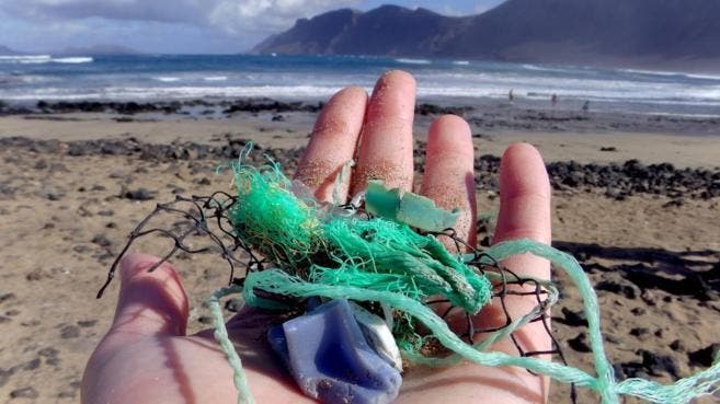Eliminar uso de bolsas plásticas, primer paso para sanar los océanos