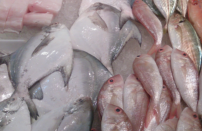 Brasil investiga importación de pescado chino adulterado