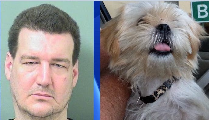 Un hombre en EE.UU. pasará un año en prisión por morder a un perro