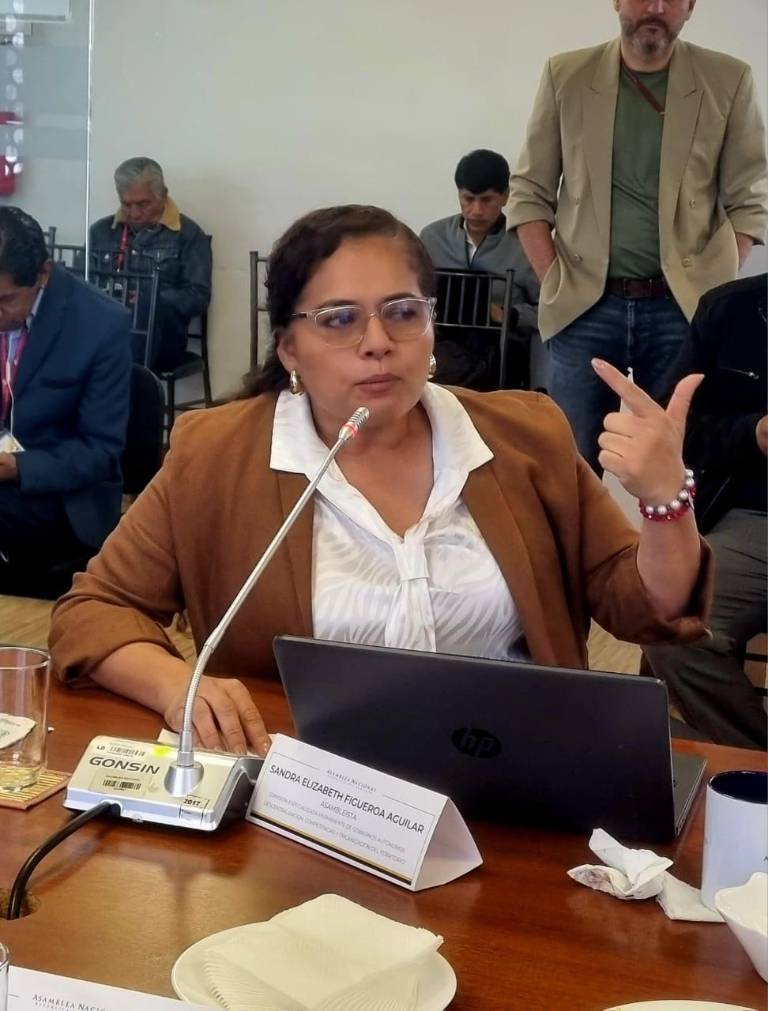 Sandra Figueroa renunció a comisión por pedido de su bancada. $!Sandra Figueroa renunció a comisión por pedido de su bancada.