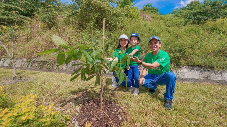 Empresas ecuatorianas fortalecen sus acciones a favor del medio ambiente