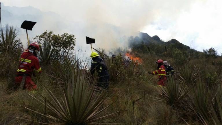 Más de 120 hectáreas afectadas por incendio en El Cajas