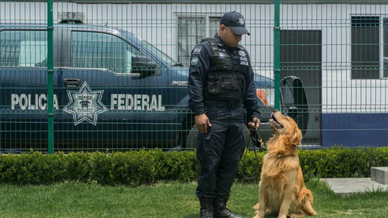 La unidad canina que da protección en las cárceles mexicanas