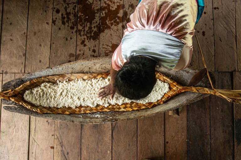 $!Una mujer de la comunidad siona de Puerto Bolívar, prepara el tradicional casave. Aquí se observa que exprime la yuca rayada para cocinarla luego en un tiesto de barro.