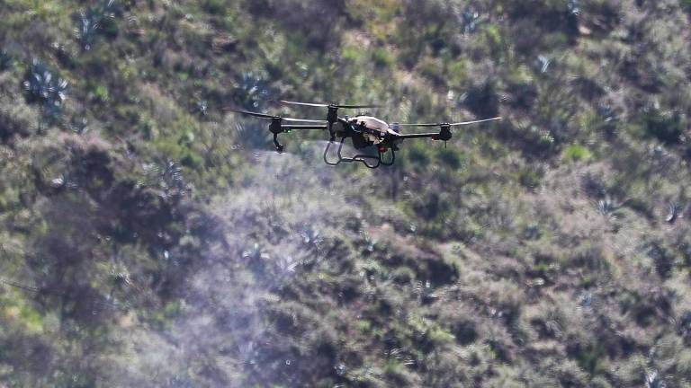 La siembra de semillas desde un dron apunta a revolucionar la reforestación en Ecuador