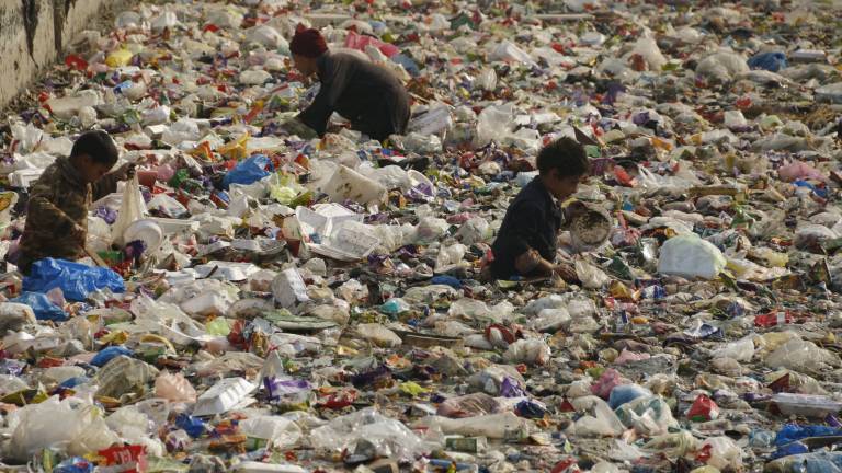 Una bacteria podría revolucionar el reciclaje
