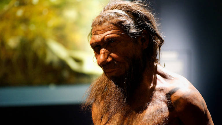 Los hombres de Neandertal eran caníbales, según estudio