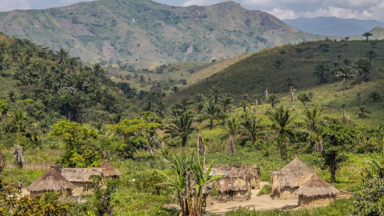 Buscan protección para la selva del Congo