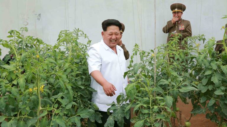 Kim Jong-un ofrece bebida que cura el sida, el ébola y el virus MERS