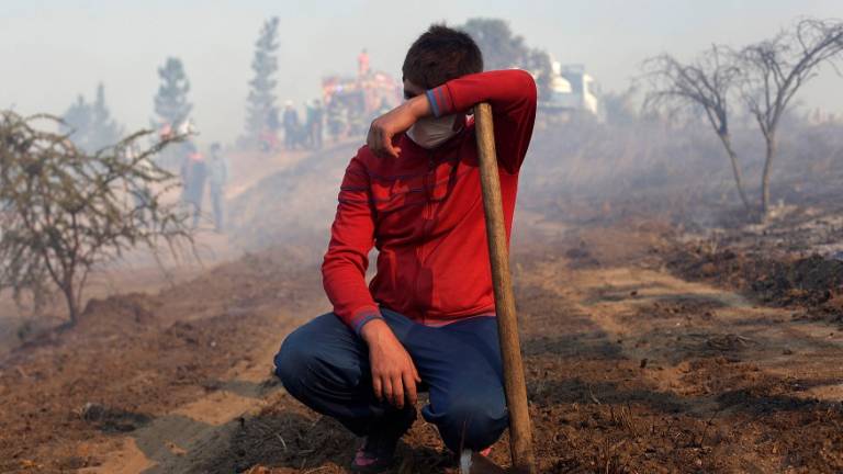 Incendios dan un respiro a Chile y empieza su reconstrucción