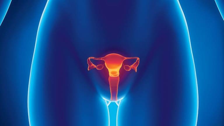 Identifican seis nuevos genes relacionados con el cáncer de ovario