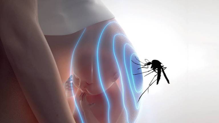 Más de 100 embarazadas contagiadas por el Zika en Ecuador