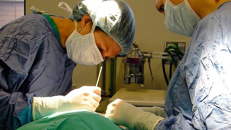 Realizan el primer trasplante renal pediátrico en Ecuador
