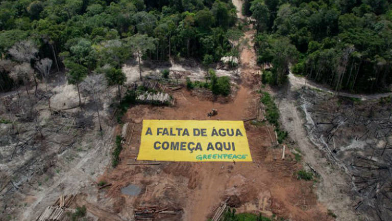 Greenpeace protesta en área deforestada de Brasil del tamaño de 500 campos de fútbol