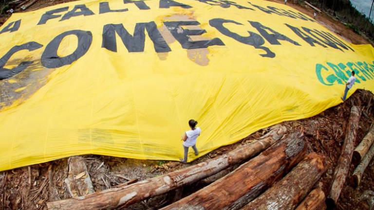 Greenpeace protesta en área deforestada de Brasil del tamaño de 500 campos de fútbol