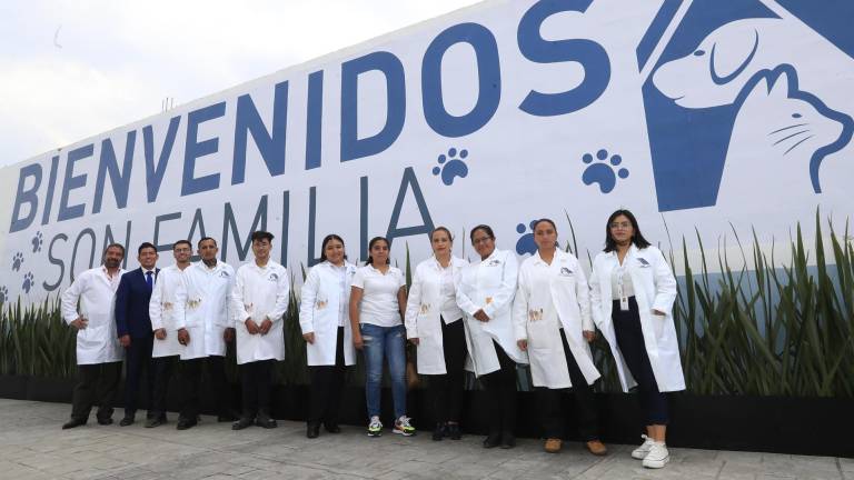 México inaugura su primer hotel para perros y gatos sin hogar