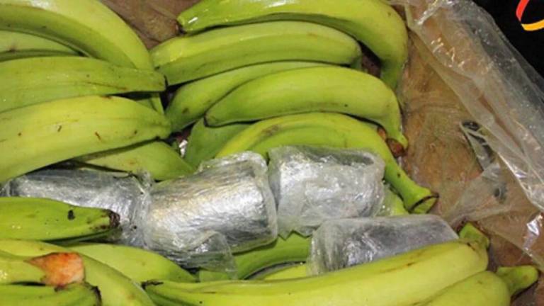 Incautan en Rusia 60 kilos de cocaína en un barco con plátanos procedente de Ecuador