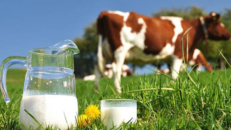 La leche de vaca no afecta al desarrollo de la diabetes tipo 1 en niños