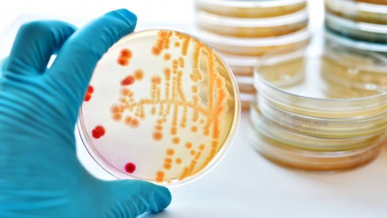 Nanopartículas combatirían bacterias resistentes
