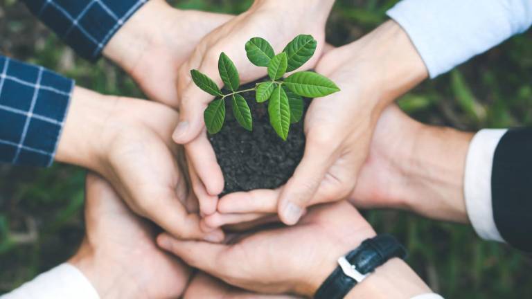 Iniciativa Darwin 2026: Cómo postular a los fondos del Reino Unido para proyectos ambientales en Ecuador