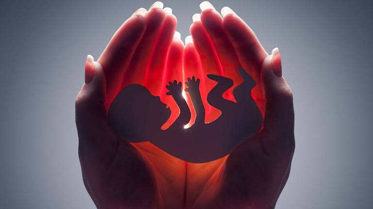 Aborto terapeútico, una práctica extendida en América Latina