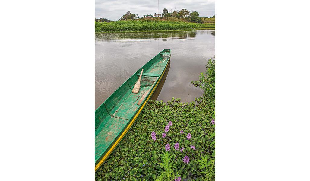 ABRAS DE MANTEQUILLA