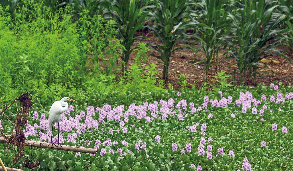 ABRAS DE MANTEQUILLA