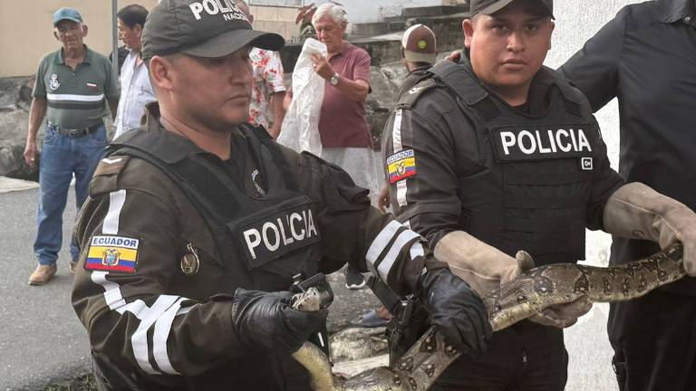 Rescate de la boa.