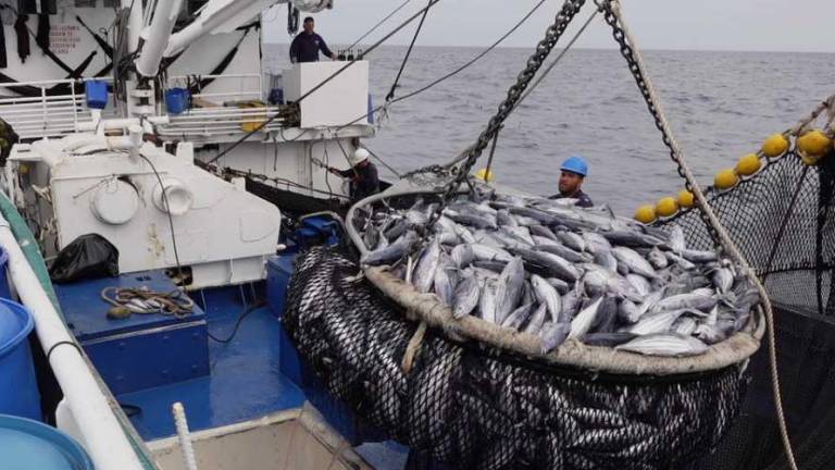 Ecuador obtiene certificación mundial en sostenibilidad atunera: ¿qué cambia con este logro?