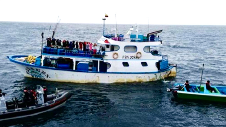 Tiburones, presa fácil de las bandas criminales que trasportan la droga desde Ecuador