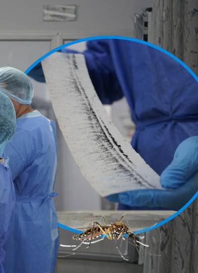 Investigadores del INSPI monitoreándo a las crías de mosquitos previo a su esterilización. Collage VISTAZO.