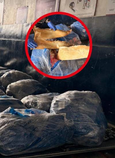 Decomisan más de 21.000 aletas de tiburón en el aeropuerto de Guayaquil