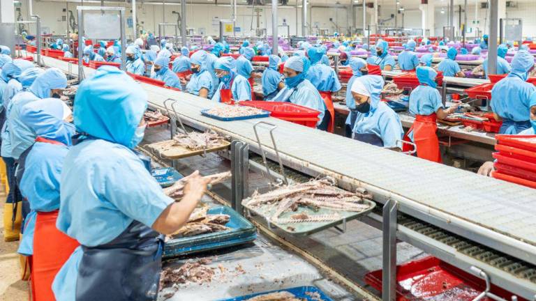 NIRSA alcanzó en 2025 hitos clave en sostenibilidad ambiental y social, innovación y expansión internacional.