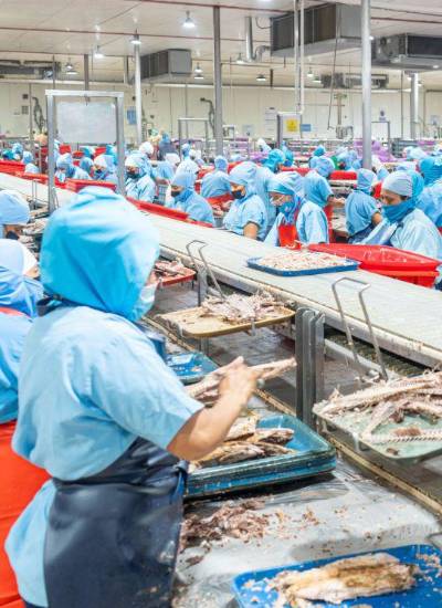 NIRSA alcanzó en 2025 hitos clave en sostenibilidad ambiental y social, innovación y expansión internacional.