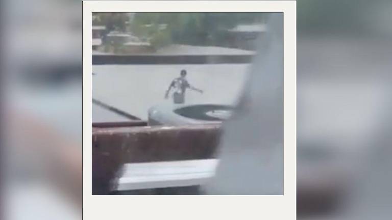 VIDEO | Reo intentó escapar por el techo de un hospital de Guayaquil
